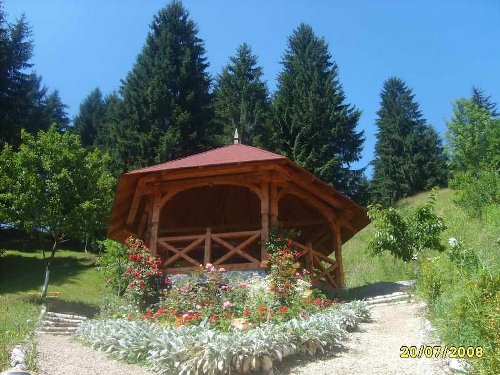 Pensiunea Eladi Borsa  Exterior photo